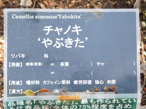 DSCN3828