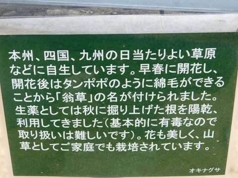 DSCN3605