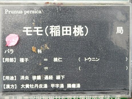 DSCN1462