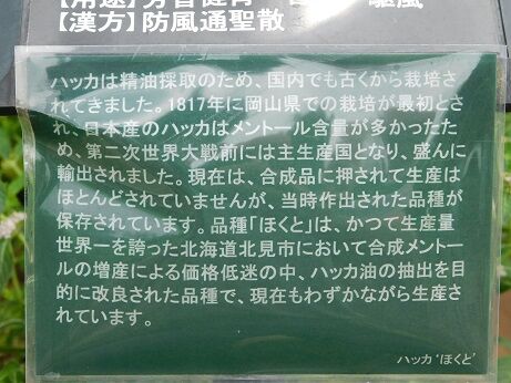 DSCN8251