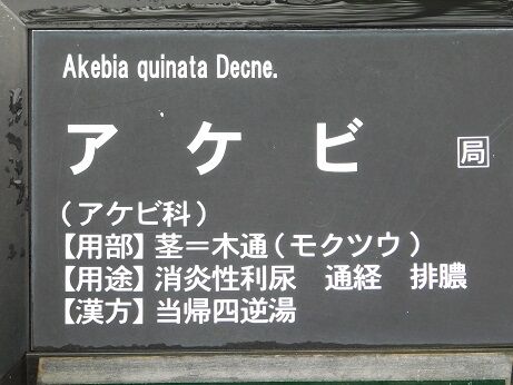 DSCN1465