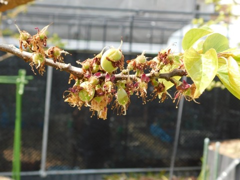 DSCN3712