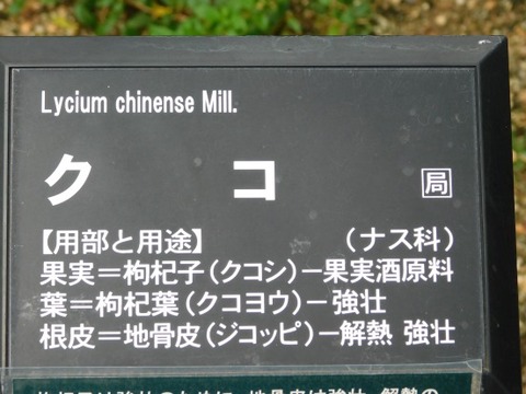 DSCN2297