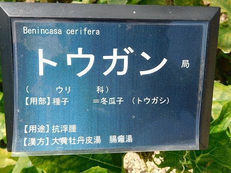 DSCN3631