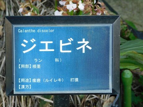 DSCN9311
