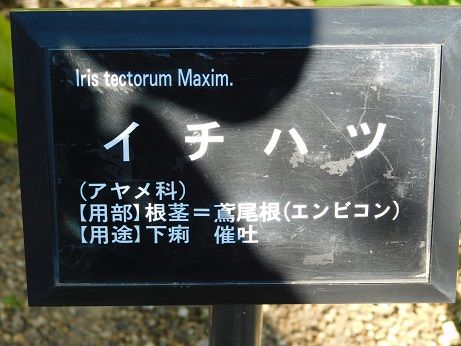 DSCN4847