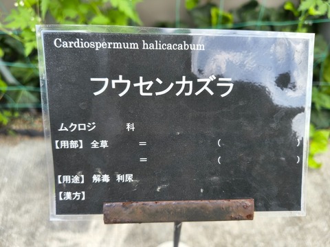 IMG_20260723_112809444_HDR