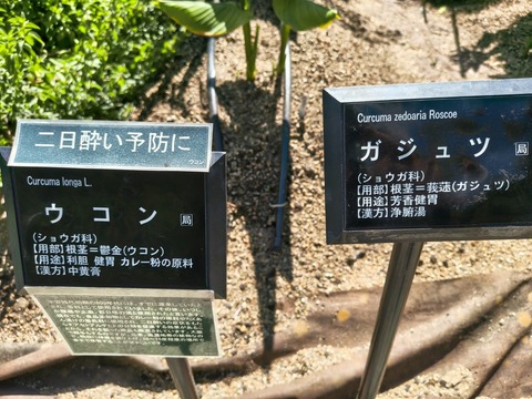 IMG_20260805_101830254_HDR