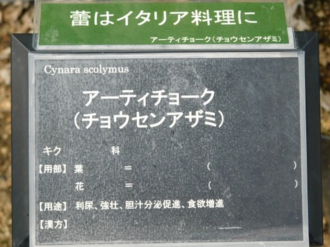 DSCN2299