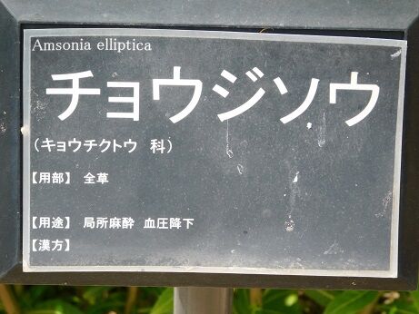 DSCN9262