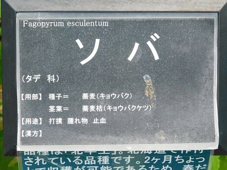 DSCN7576