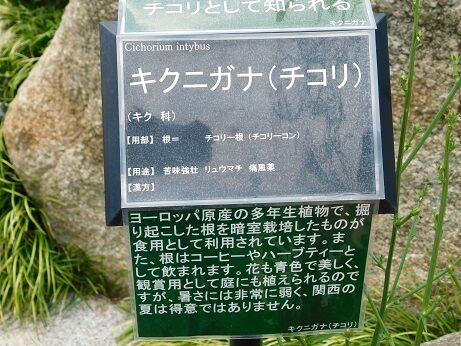 DSCN8065