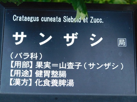 DSCN2743