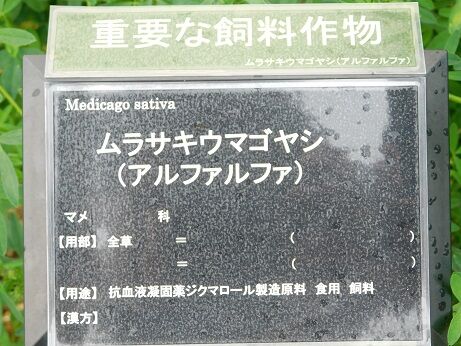 DSCN9458