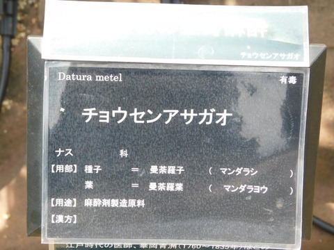 DSCN7192