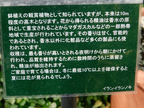 DSCN7307