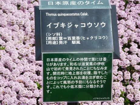 DSCN9260