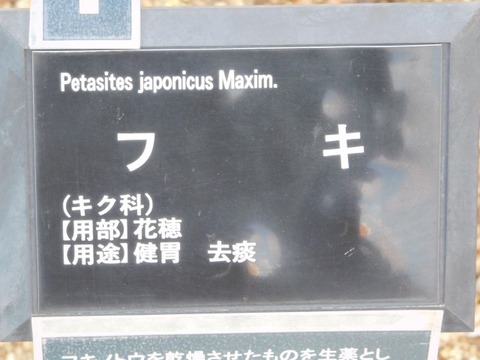DSCN3553