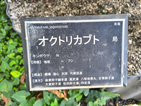 IMG_20260925_071153790_HDR
