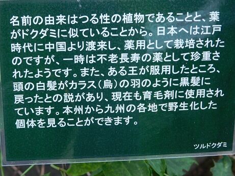 DSCN8682