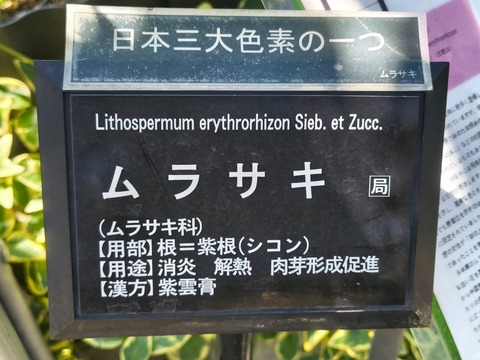 IMG_20260728_112001569_HDR