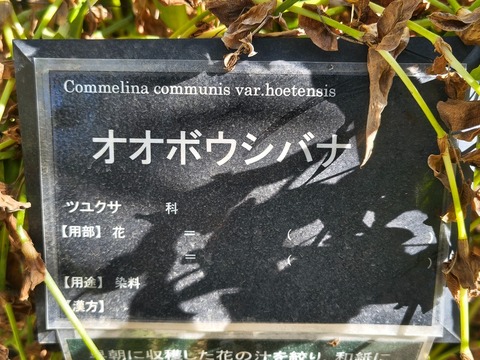 IMG_20261008_134843945_HDR