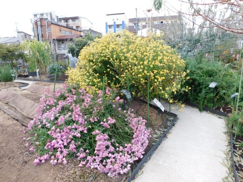 DSCN3217