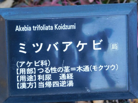 DSCN3187