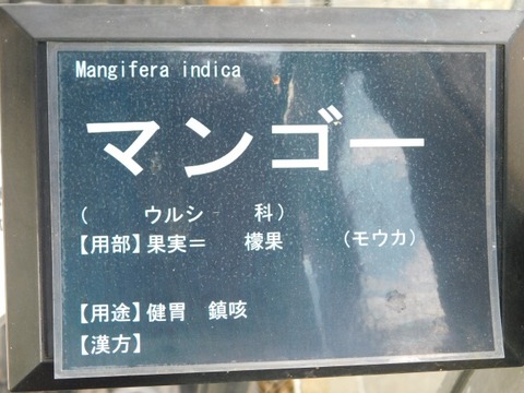DSCN6331