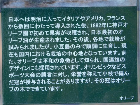 DSCN5418