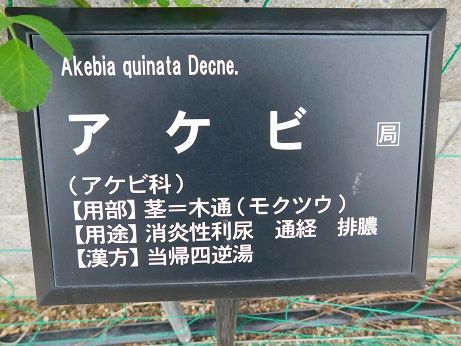 DSCN2312
