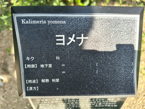 IMG_20260820_114900458_HDR