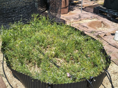 IMG_20260728_112214309_HDR
