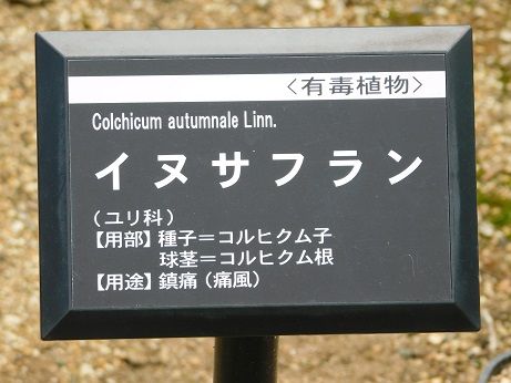 DSCN4001