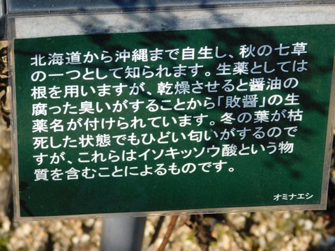 DSCN3103