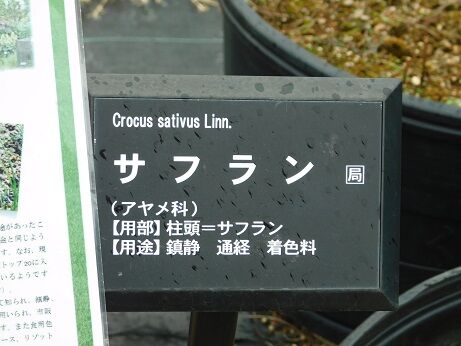 DSCN1202