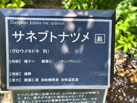 IMG_20260728_112110039_HDR