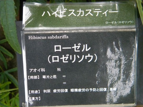 DSCN9919