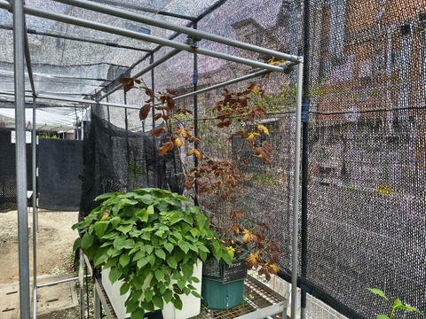 IMG_20260723_113640318_HDR