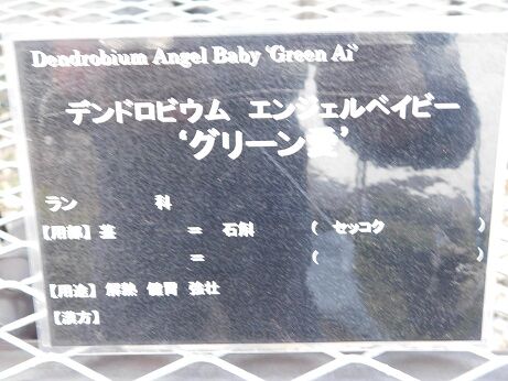 DSCN9062