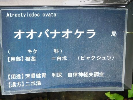 DSCN3771