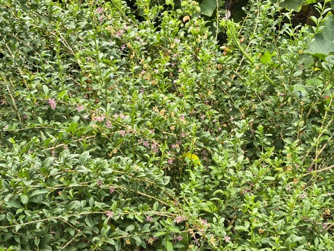 IMG_20260827_134314699_HDR