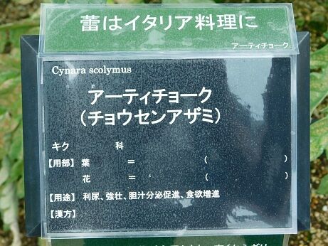 DSCN9928