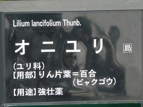 DSCN5768