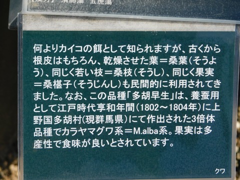 DSCN3960