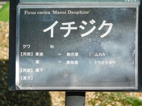 DSCN9844