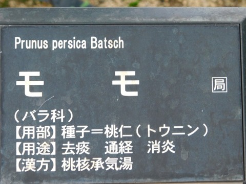 DSCN7071
