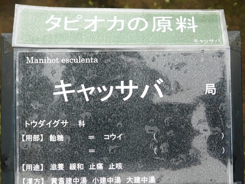 DSCN4380