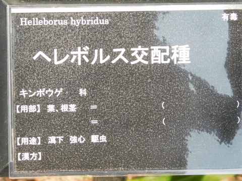 DSCN3588