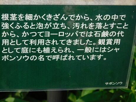 DSCN9810